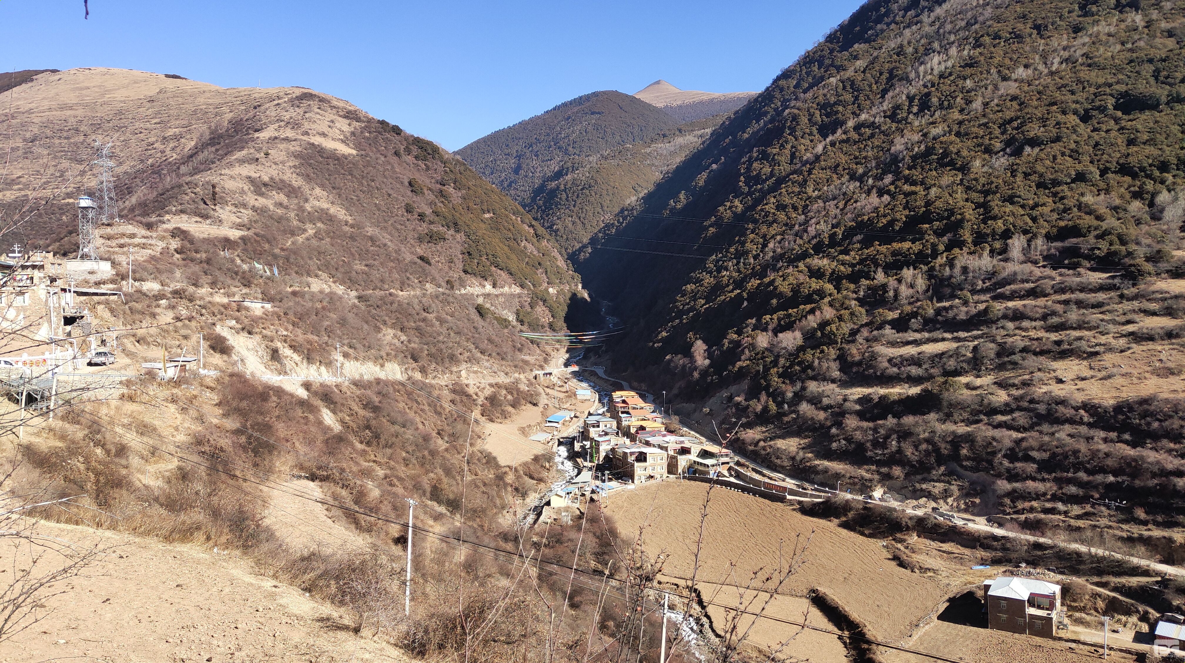 ϲ����������Ƽ����ٻ�2������רҵ���ʱ��潱��