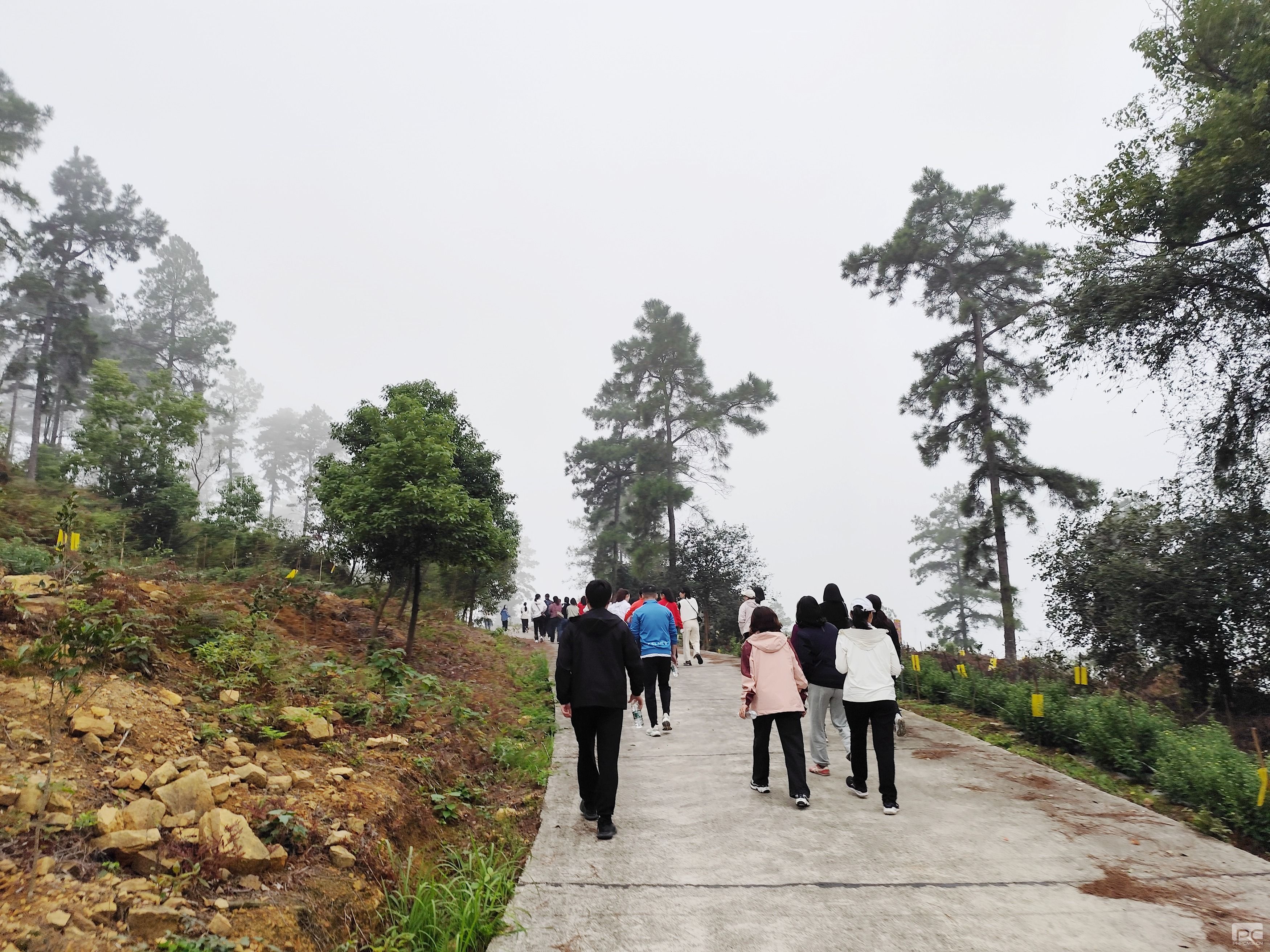 �۲��á�(�й���)���޹�˾����