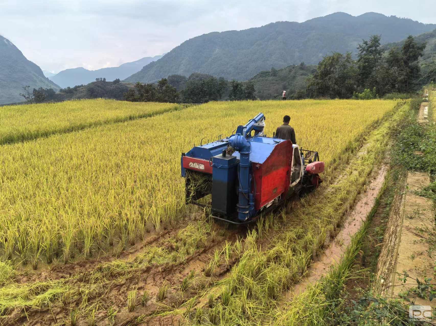 �۲��á�(�й���)���޹�˾����