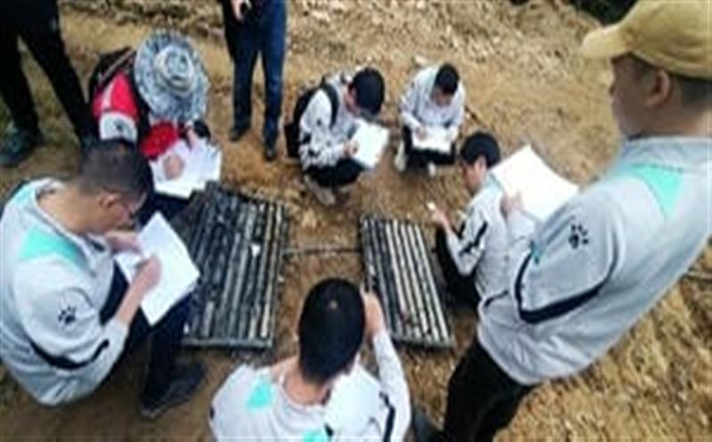 �����ӣ�Բ�����ְҵ��������ѡ����