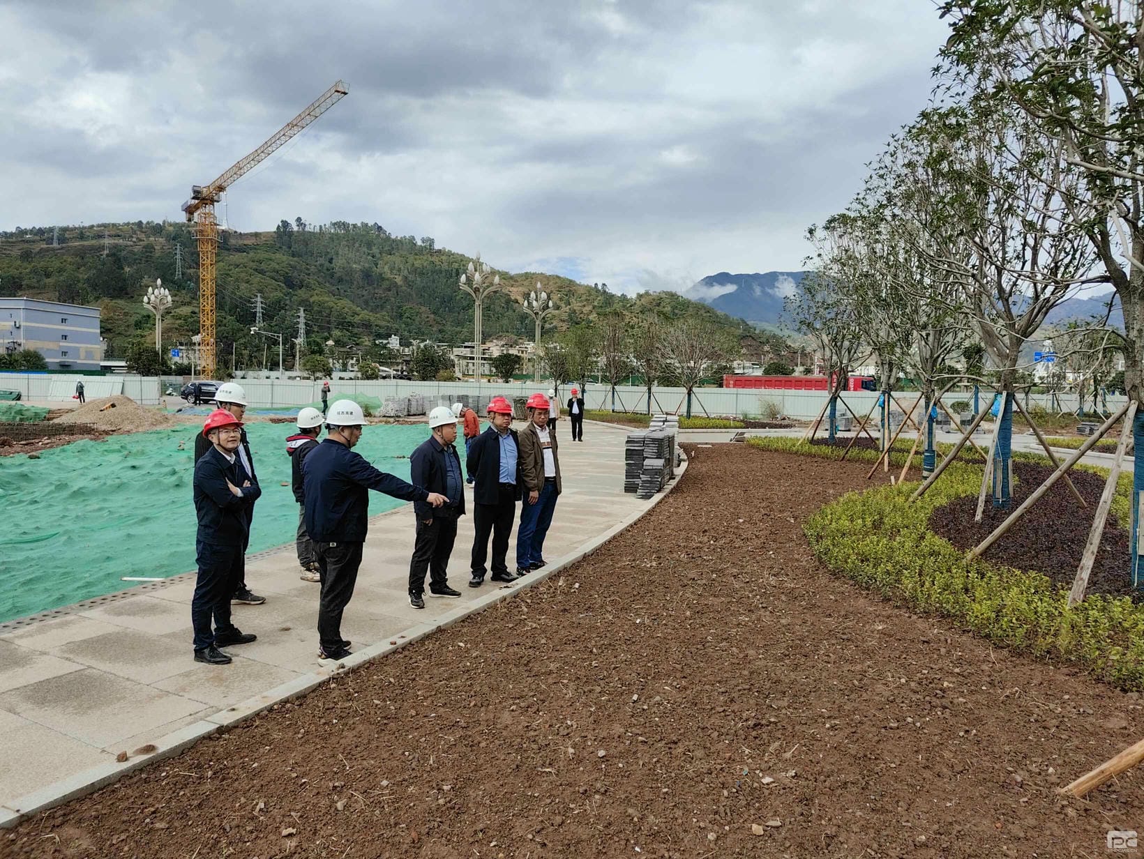 �����Ͻ��輯���쵼������������Ŀ���ָ������