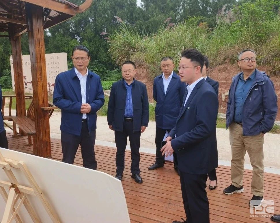 ��˾�쵼������Ƭ�����п���