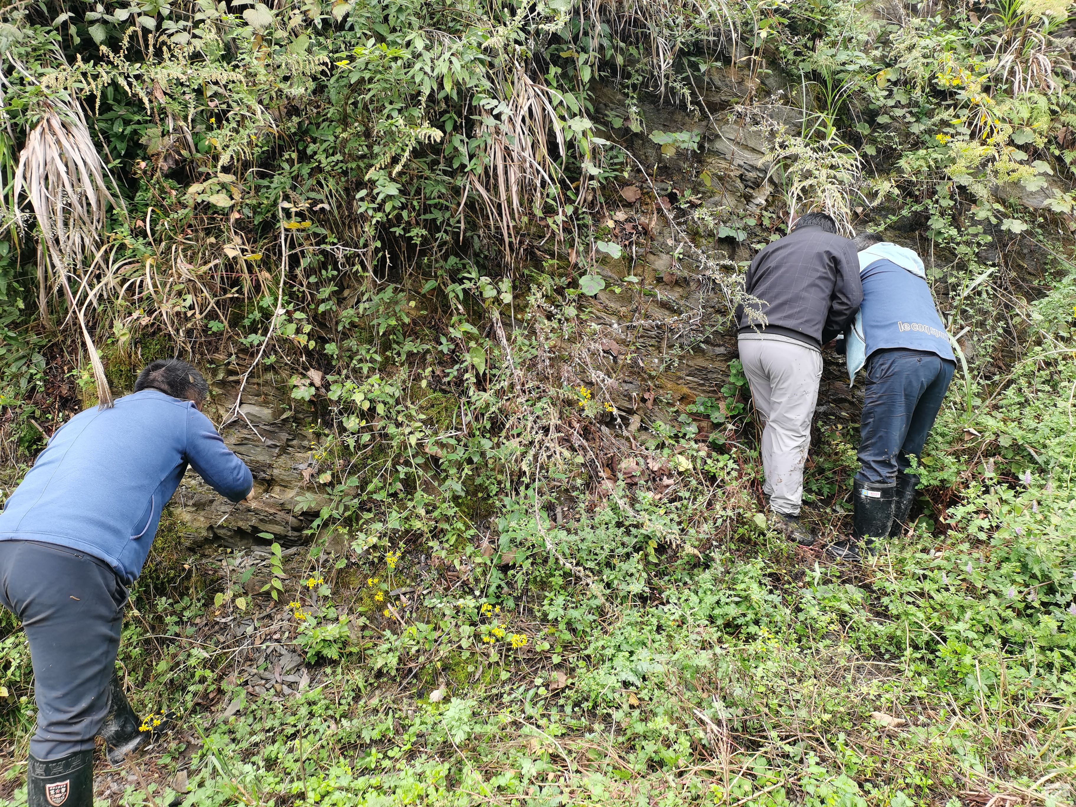 �۲��á�(�й���)���޹�˾����