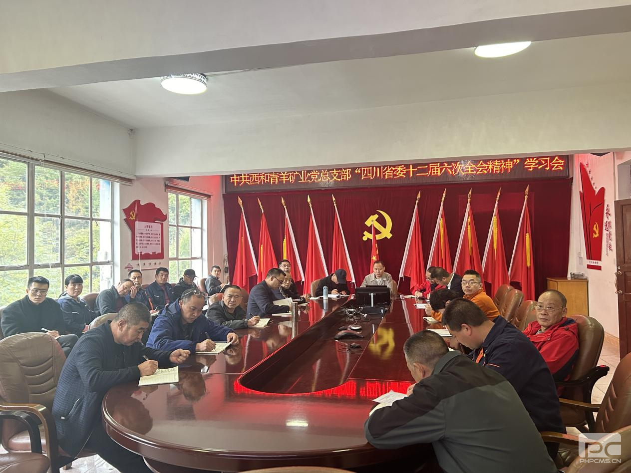 ��˾�쵼�������ҵ�����Ĵ�ʡίʮ��������ȫ�ᾫ��