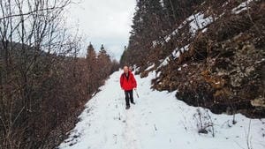 �ݱ�Ƶ�������������б���ɽ�ݵؿ�������Ŀ