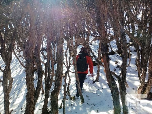 �۲��á�(�й���)���޹�˾����