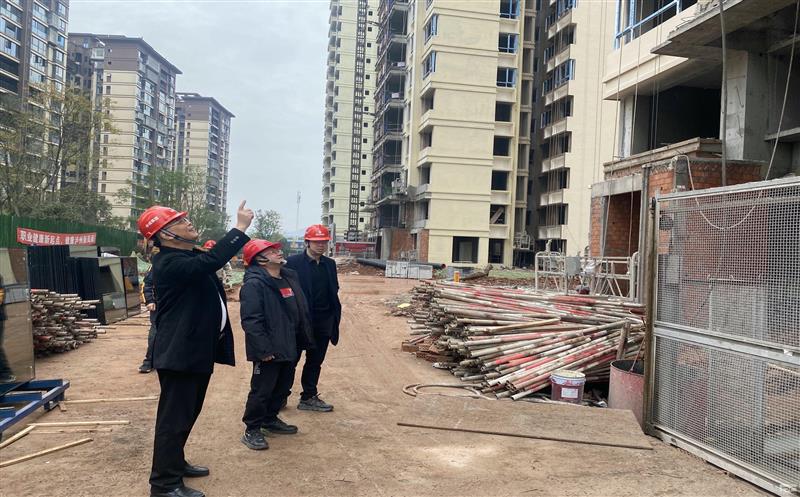 ��˾�쵼���ӵ����ݷ�������Ŀ���ڽ���Ŀ�����ϼ���Ҫ���ᾫ�񲢿�չ ��������������